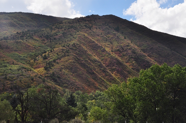 autumn colors on the hillside